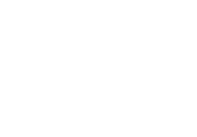 Stateside Tax Solutions